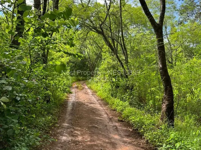 Residential Stand for Sale in Helensvale, Harare