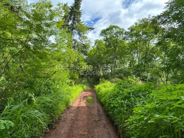 Residential Stand for Sale in Helensvale, Harare