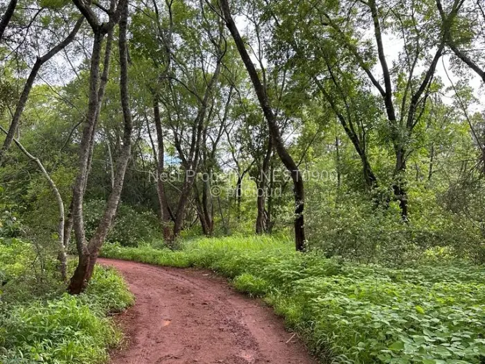 Residential Stand for Sale in Helensvale, Harare