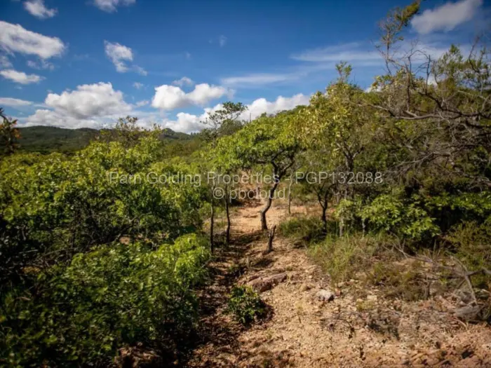 Residential Stand for Sale in Nyanga, Nyanga