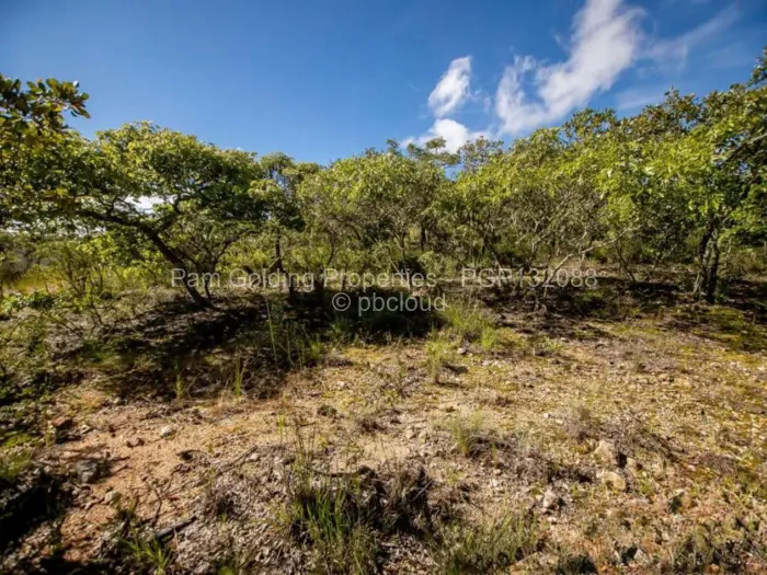 Residential Stand for Sale in Nyanga, Nyanga