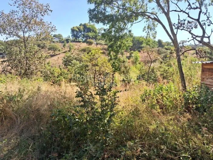 Residential Stand for Sale in Philadelphia, Harare