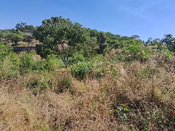 Residential Stand for Sale in Philadelphia, Harare