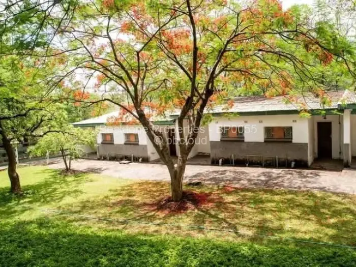 Hospitality/BnB for Sale in Umguza Byo, Bulawayo