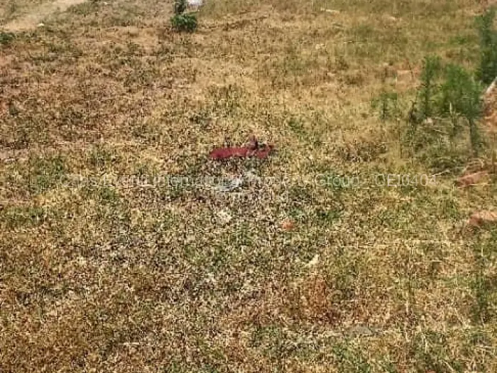 Residential Stand for Sale in Mabvazuva Estates, Ruwa