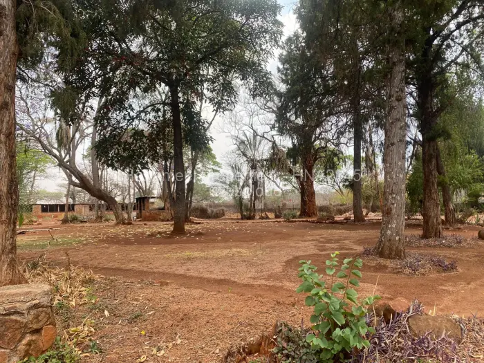 Farm/Plot for Sale in Christon Bank, Christon Bank