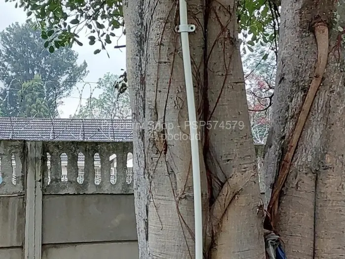 4 Bedroom House to Rent in Greendale, Harare