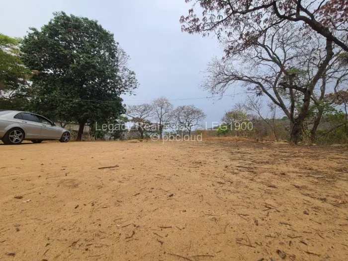 Farm/Plot for Sale in Christon Bank, Christon Bank