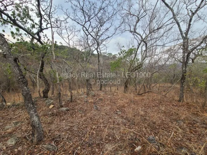Farm/Plot for Sale in Christon Bank, Christon Bank