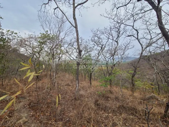 Farm/Plot for Sale in Christon Bank, Christon Bank