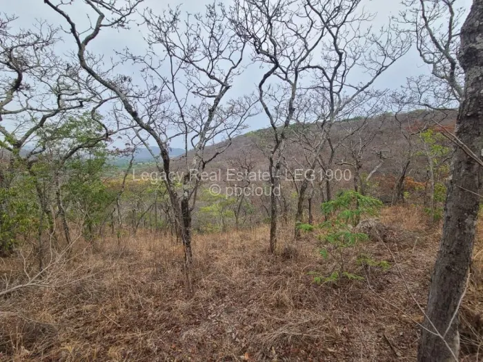 Farm/Plot for Sale in Christon Bank, Christon Bank
