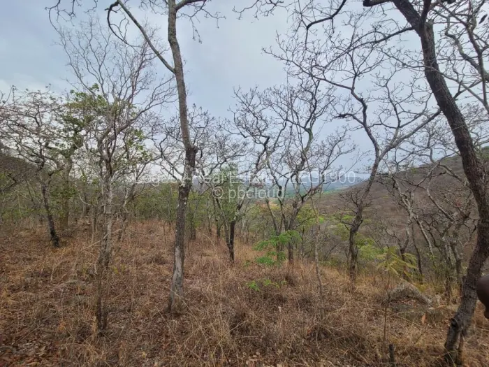 Farm/Plot for Sale in Christon Bank, Christon Bank