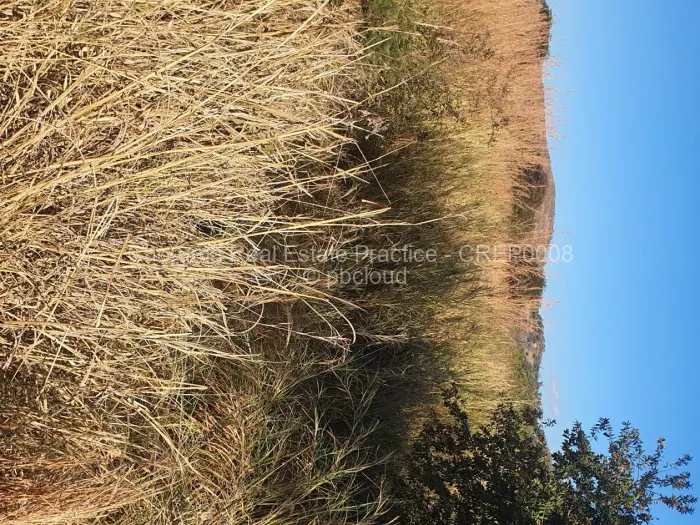 Farm/Plot for Sale in Northgate Heights, Gweru