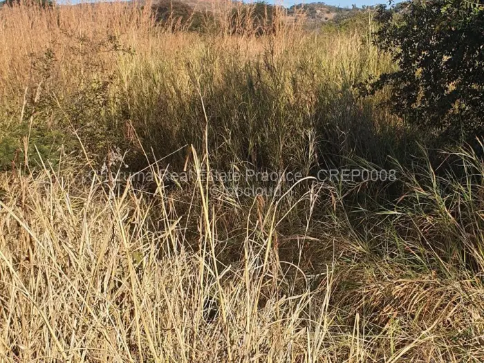 Farm/Plot for Sale in Northgate Heights, Gweru