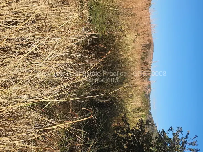 Farm/Plot for Sale in Northgate Heights, Gweru