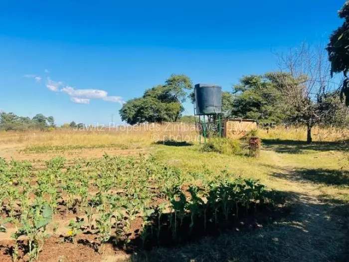 Farm/Plot for Sale in Ruwa, Ruwa