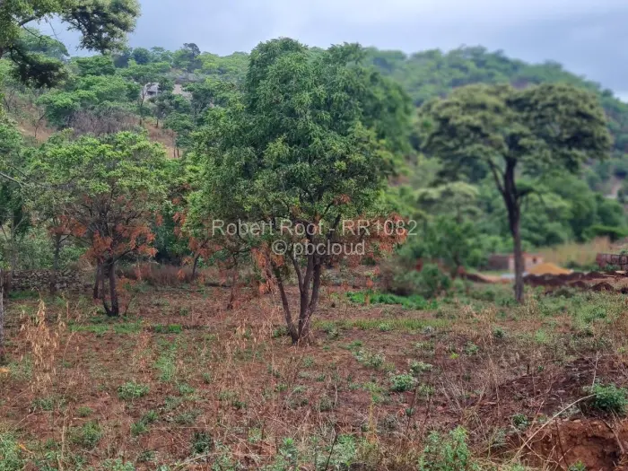 Residential Stand for Sale in Gletwin Park, Harare