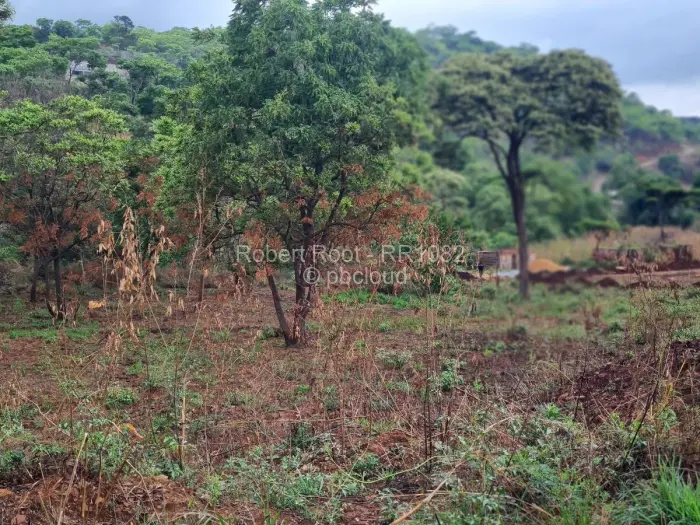 Residential Stand for Sale in Gletwin Park, Harare