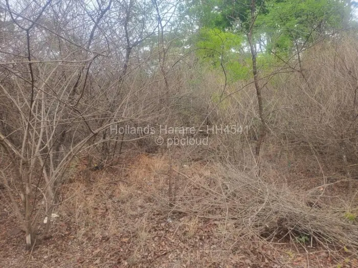 Residential Stand for Sale in Shawasha Hills, Harare