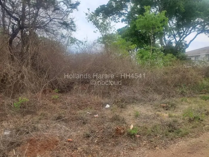 Residential Stand for Sale in Shawasha Hills, Harare