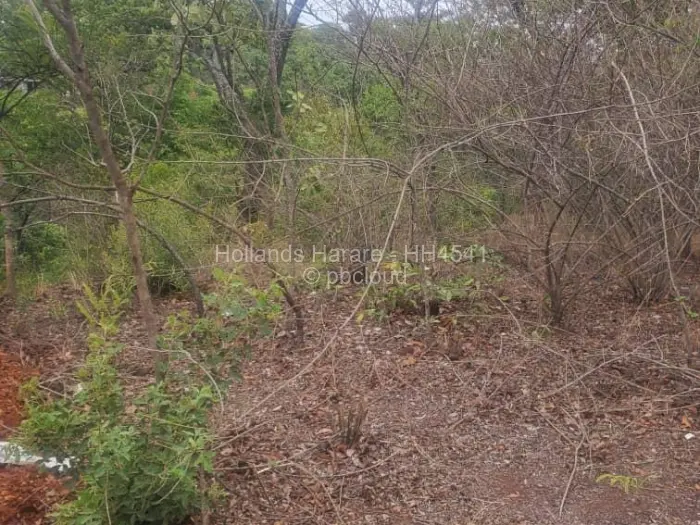 Residential Stand for Sale in Shawasha Hills, Harare