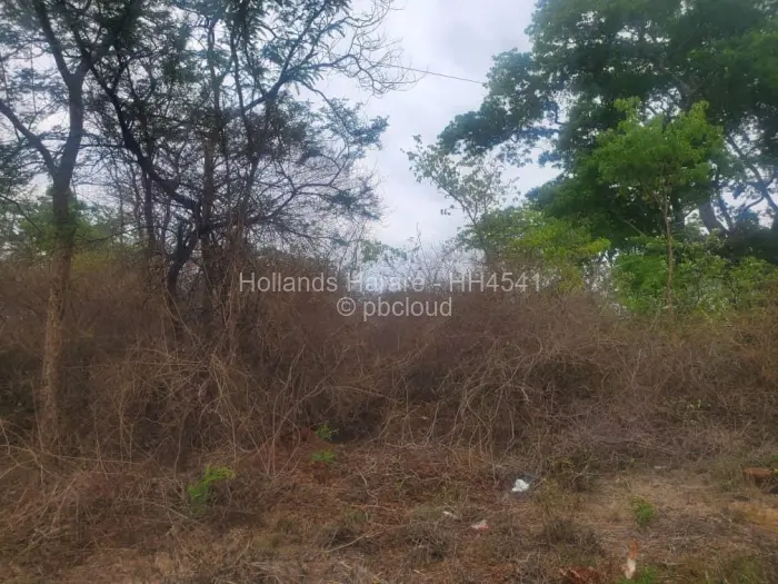 Residential Stand for Sale in Shawasha Hills, Harare