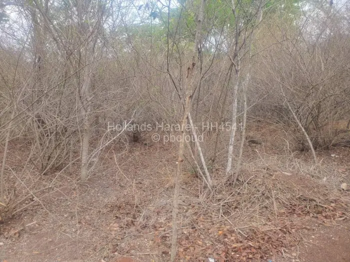 Residential Stand for Sale in Shawasha Hills, Harare