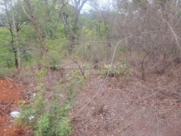 Residential Stand for Sale in Shawasha Hills, Harare