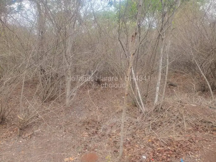 Residential Stand for Sale in Shawasha Hills, Harare