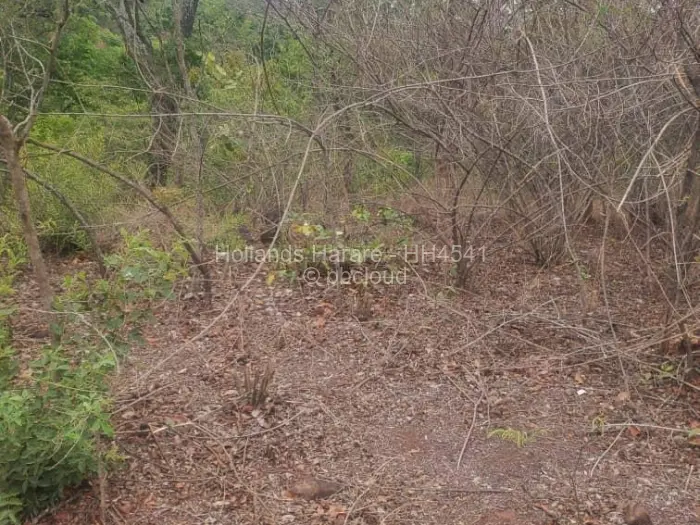 Residential Stand for Sale in Shawasha Hills, Harare