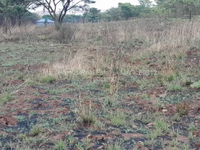 Farm/Plot for Sale in Arcturus, Arcturus