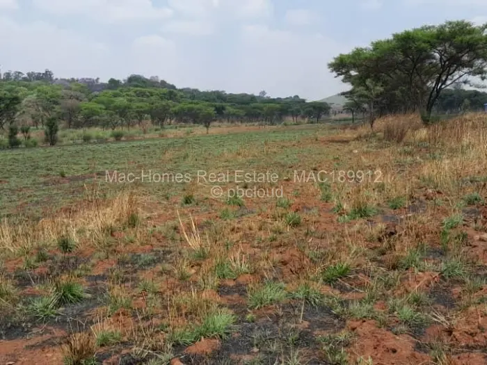 Farm/Plot for Sale in Arcturus, Arcturus