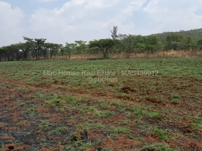Farm/Plot for Sale in Arcturus, Arcturus