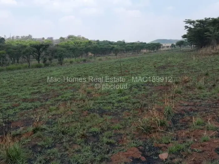 Farm/Plot for Sale in Arcturus, Arcturus