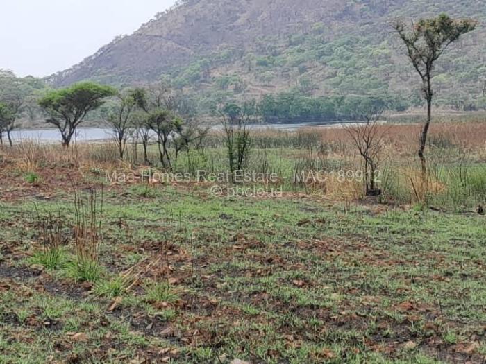 Farm/Plot for Sale in Arcturus, Arcturus