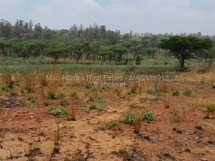 Farm/Plot for Sale in Arcturus, Arcturus