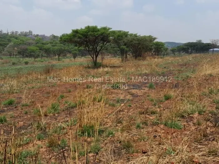 Farm/Plot for Sale in Arcturus, Arcturus