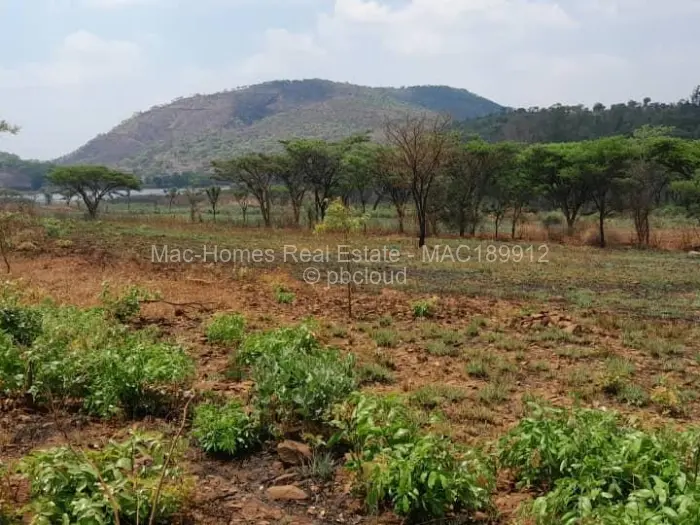 Farm/Plot for Sale in Arcturus, Arcturus