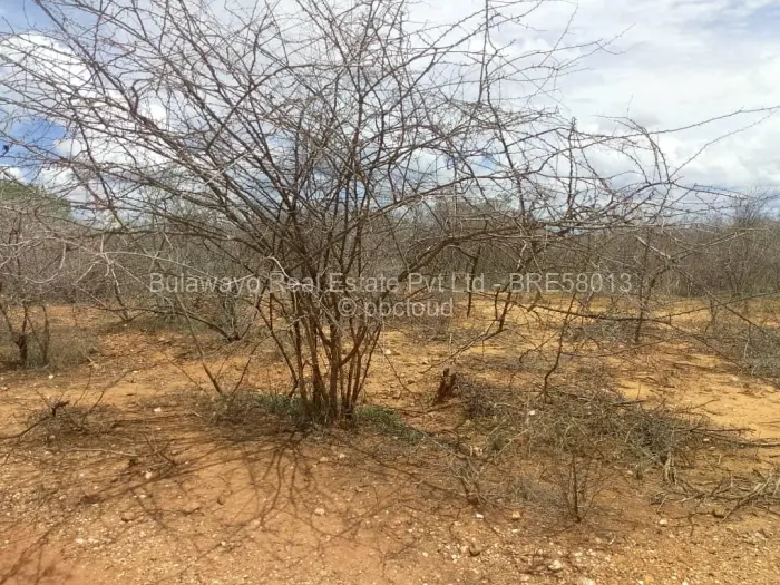 Farm/Plot for Sale in Kensington Byo, Bulawayo
