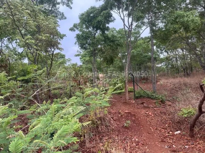 Residential Stand for Sale in Arcturus, Arcturus