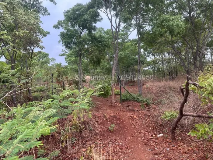 Residential Stand for Sale in Arcturus, Arcturus