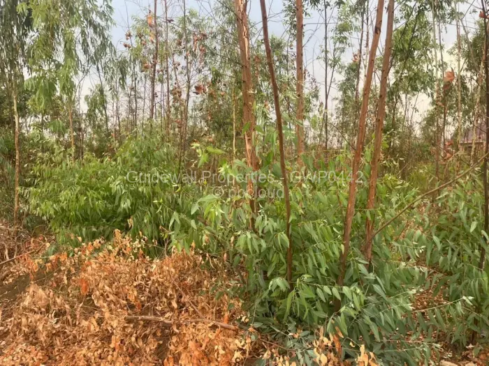 Residential Stand for Sale in Tynwald, Harare