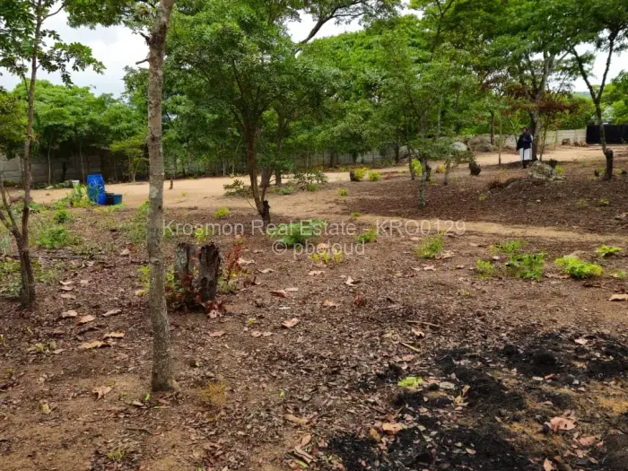 Residential Stand for Sale in Marondera, Marondera