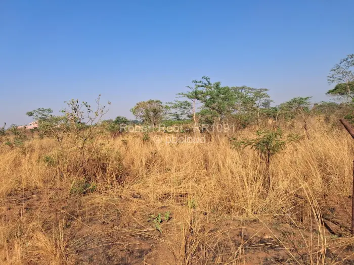 Residential Stand for Sale in Galloway, Norton