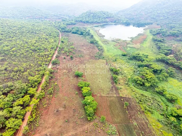 Farm/Plot for Sale in Arcturus, Arcturus