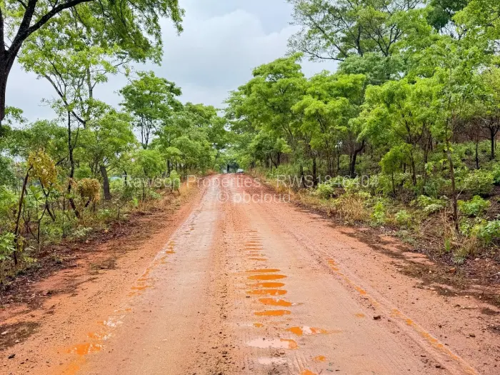 Farm/Plot for Sale in Arcturus, Arcturus