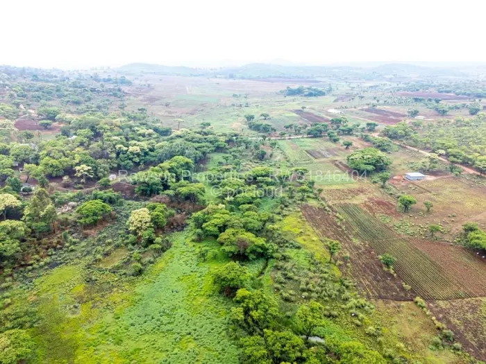 Farm/Plot for Sale in Arcturus, Arcturus