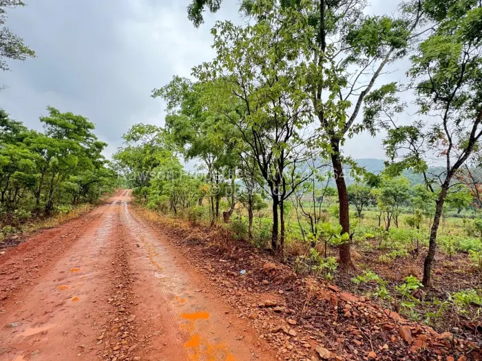 Farm/Plot for Sale in Arcturus, Arcturus