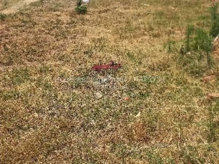 Residential Stand for Sale in Mabvazuva Estates, Ruwa