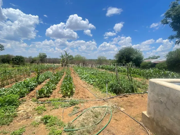 Farm/Plot for Sale in Kensington Byo, Bulawayo